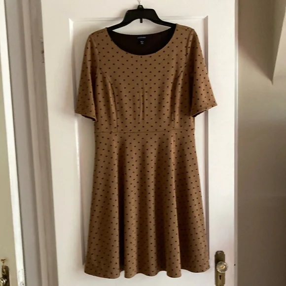 Lands' End | Dresses | Lands End M Petite Fit And Flare Dress | Poshmark